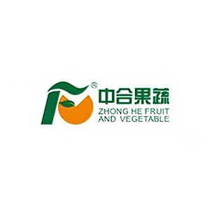 合作伙伴 4